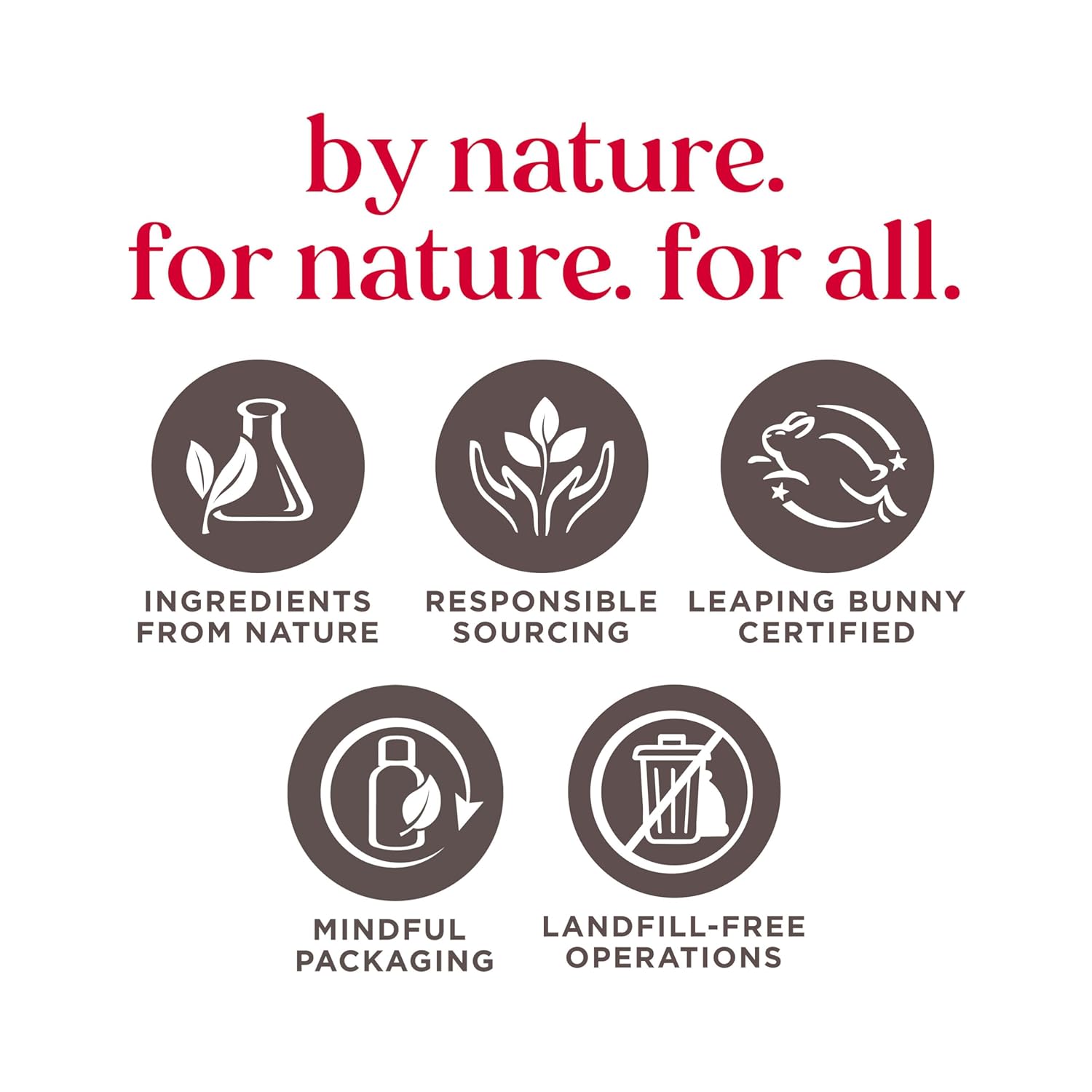 Burt's Bees Gifts Ideas - In Full Bloom Lip Balm Set, Original Beeswax, Dragonfruit Lemon, Tropical Pineapple & Strawberry, Natural Origin Lip Treatment, 4 Tubes, 0.15 oz.